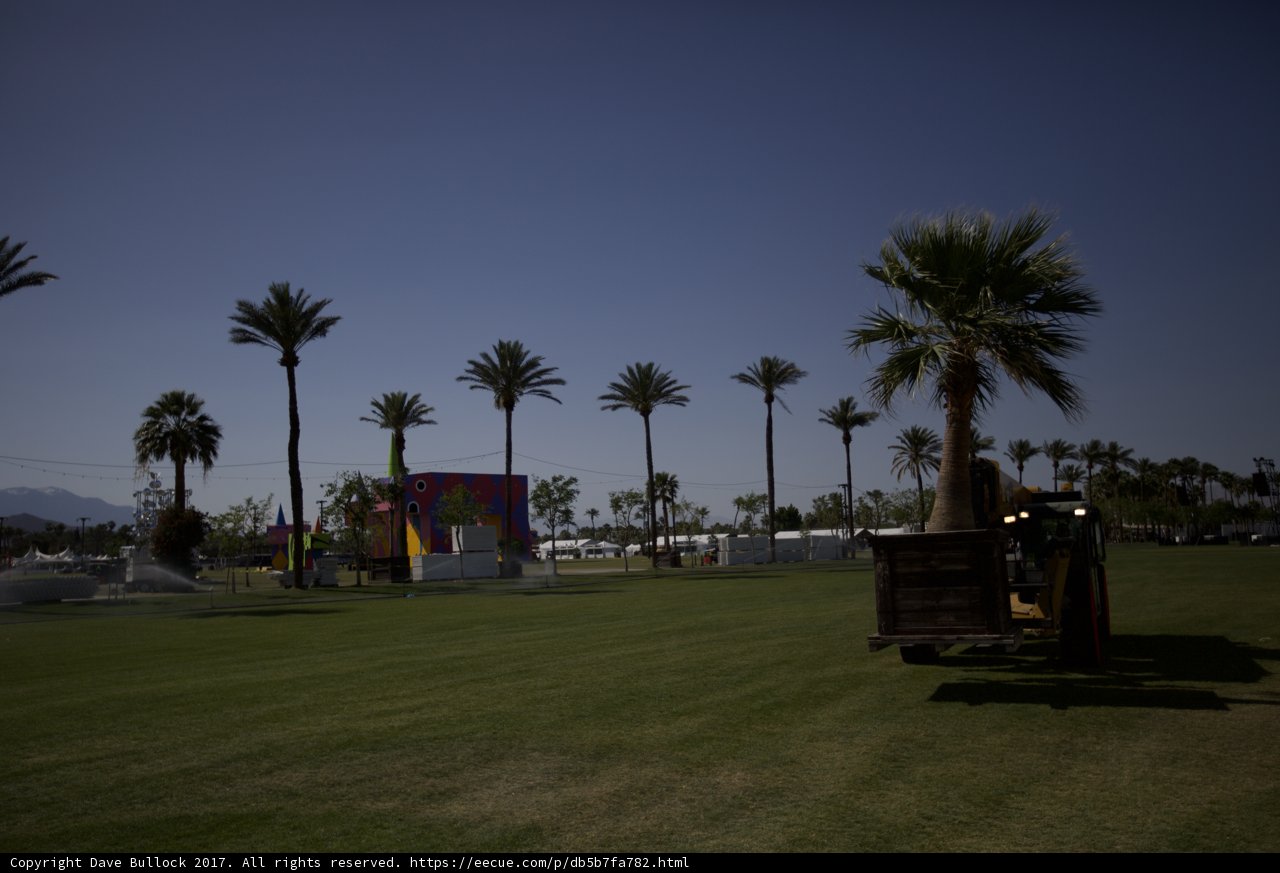 Summer on the Lawn