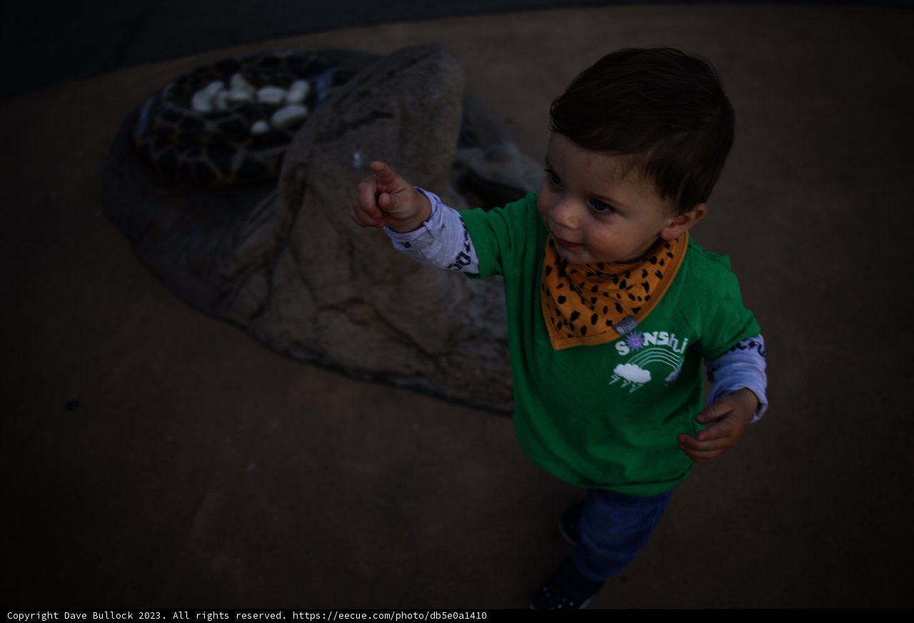 The Young Explorer