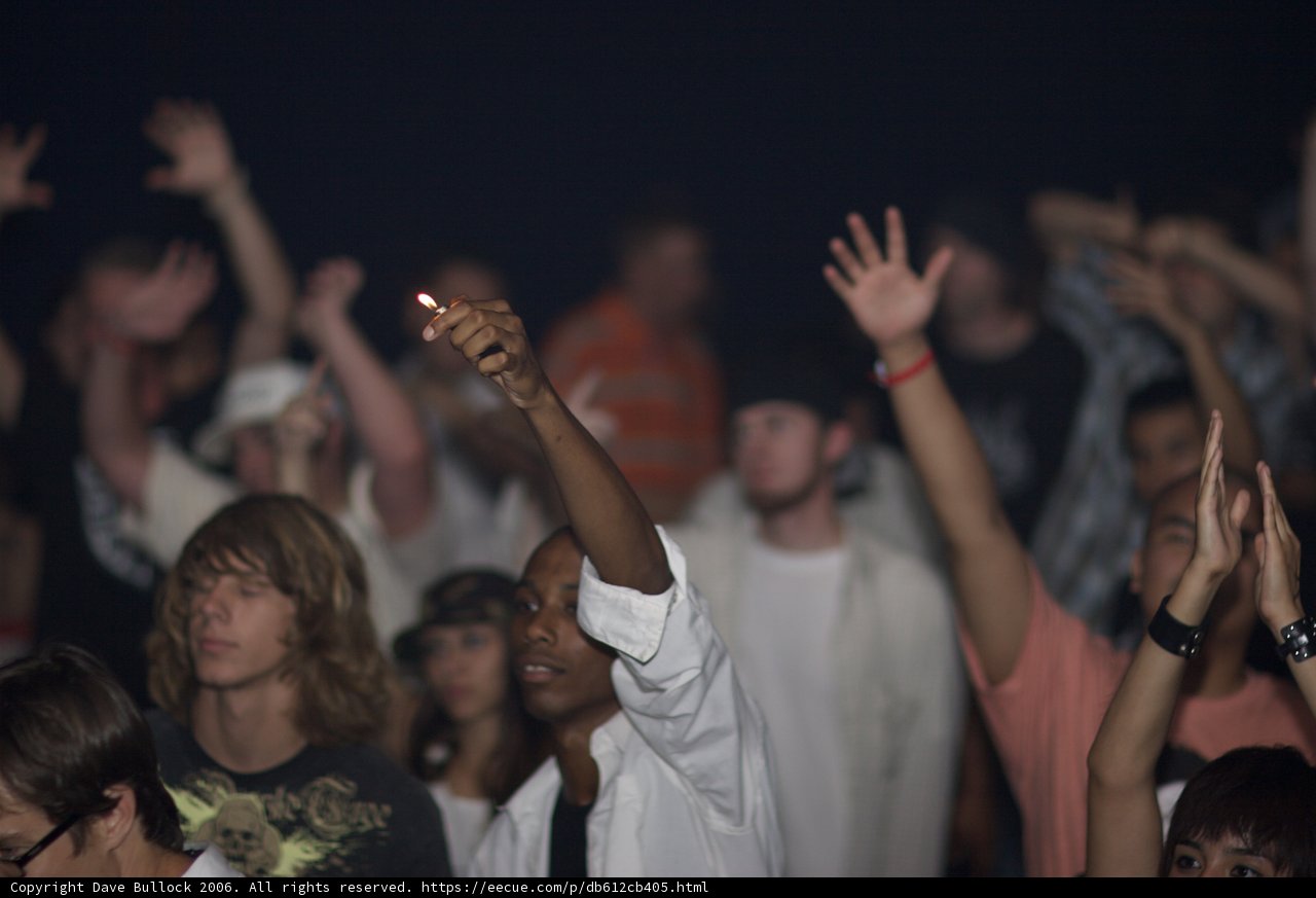 Concert-goers Euphoria
