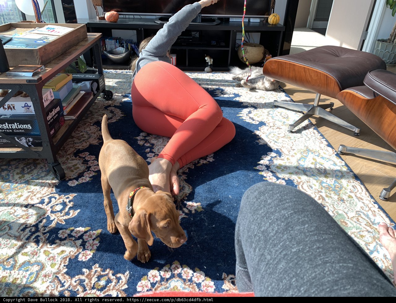 Relaxing with my Furry Friend