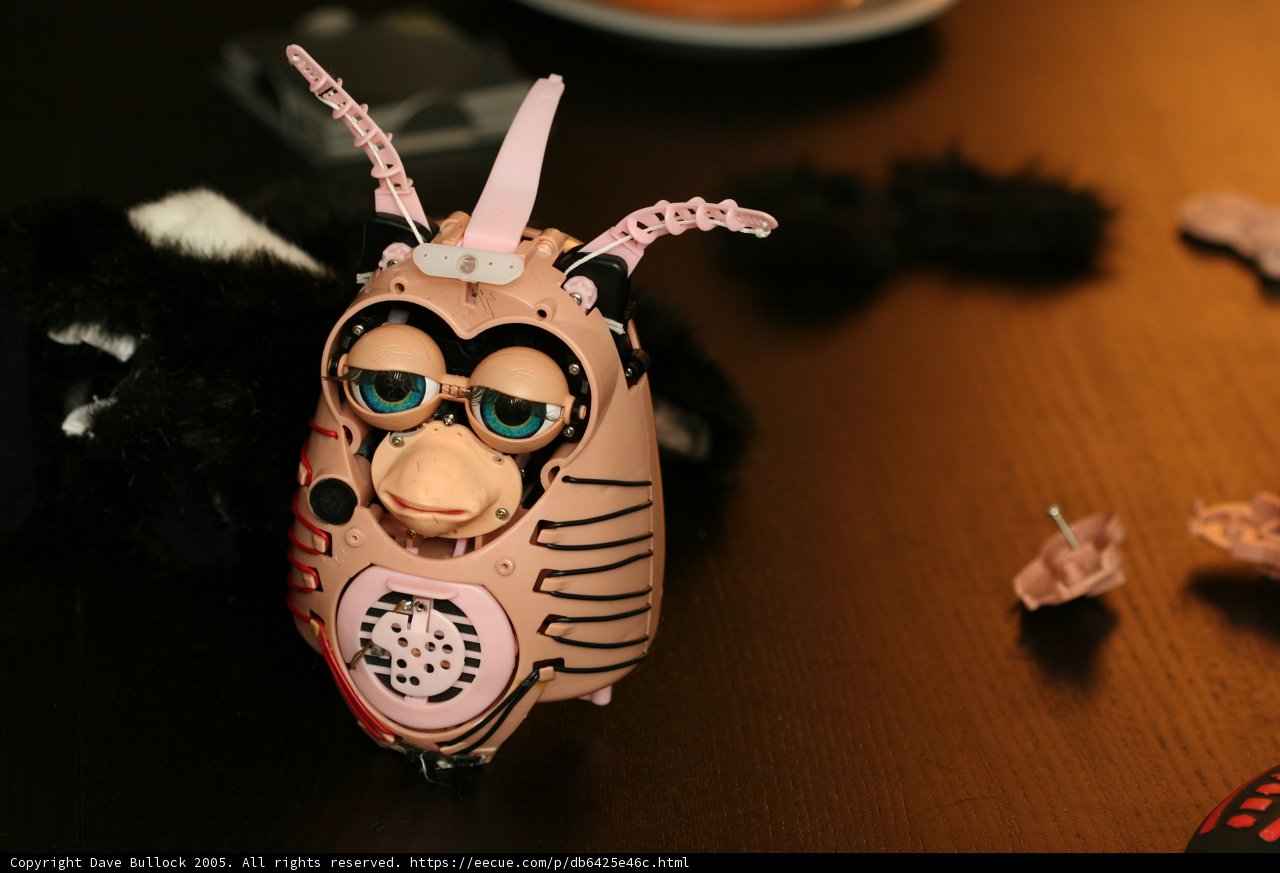 Horned plushie in a wooden setting