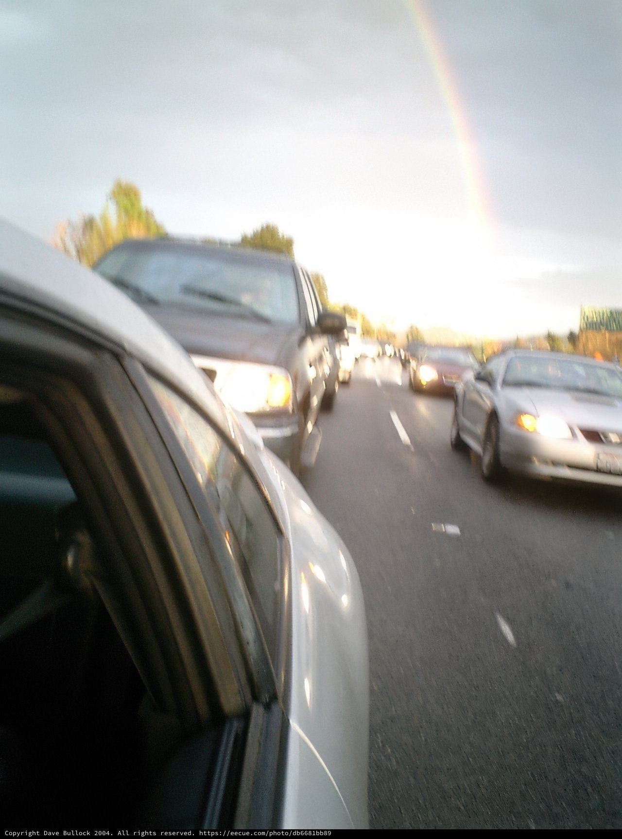 Rainbow Road Trip