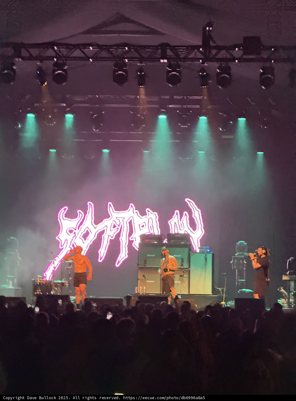 Electrifying Night Under the Stars