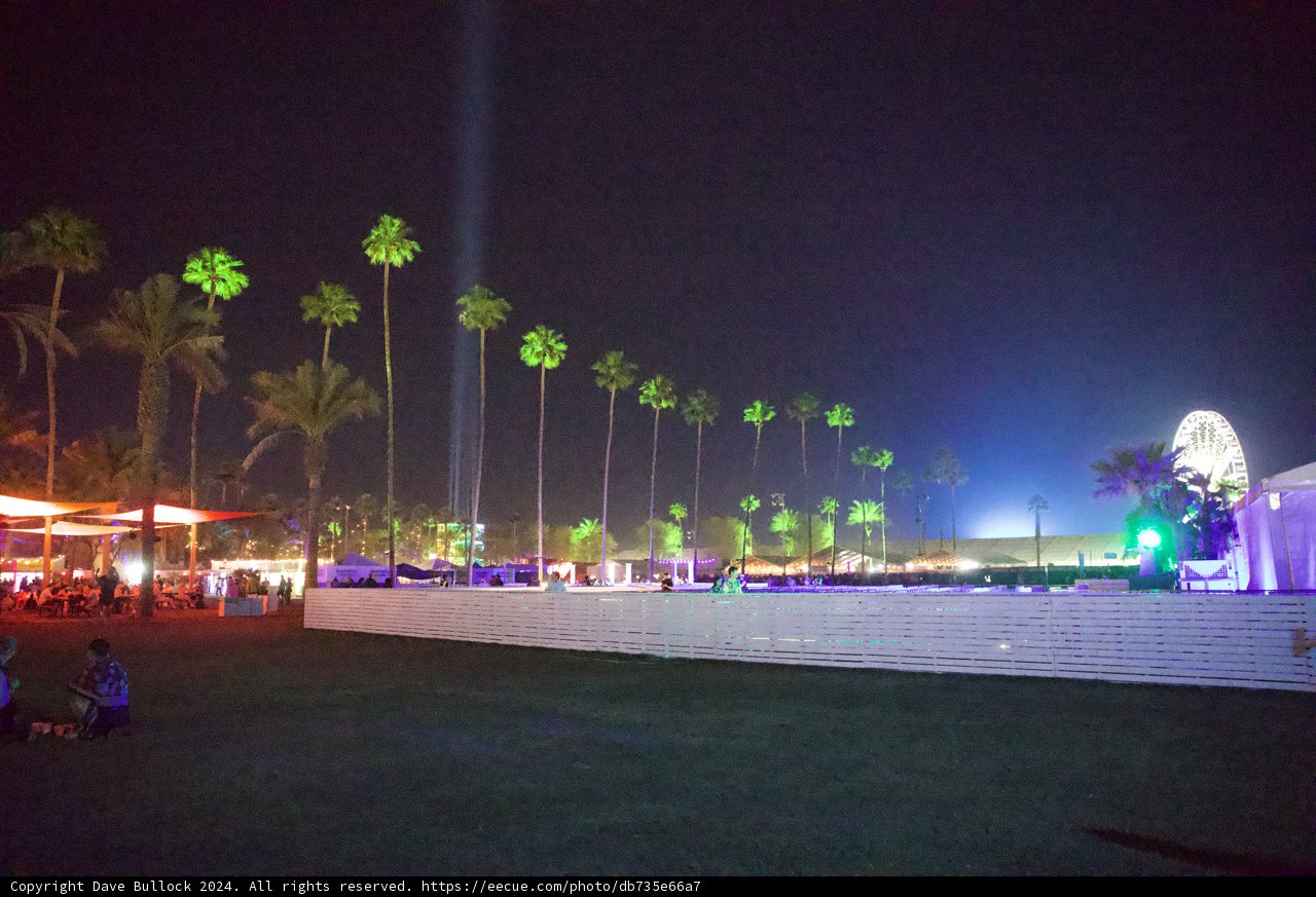 Moonlit Palms and Festival Lights at Coachella 2024