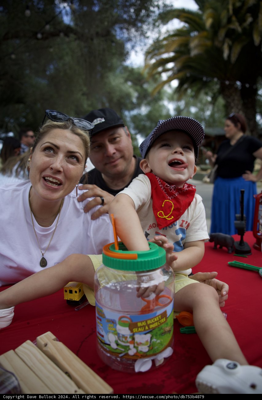 Joyful Celebrations Under the Palm Trees
