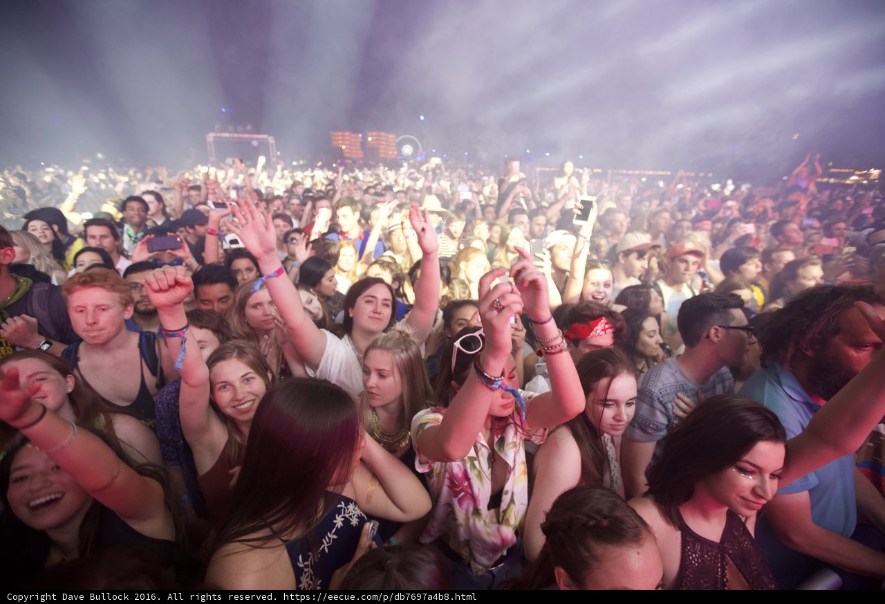 Coachella Crowd Delight