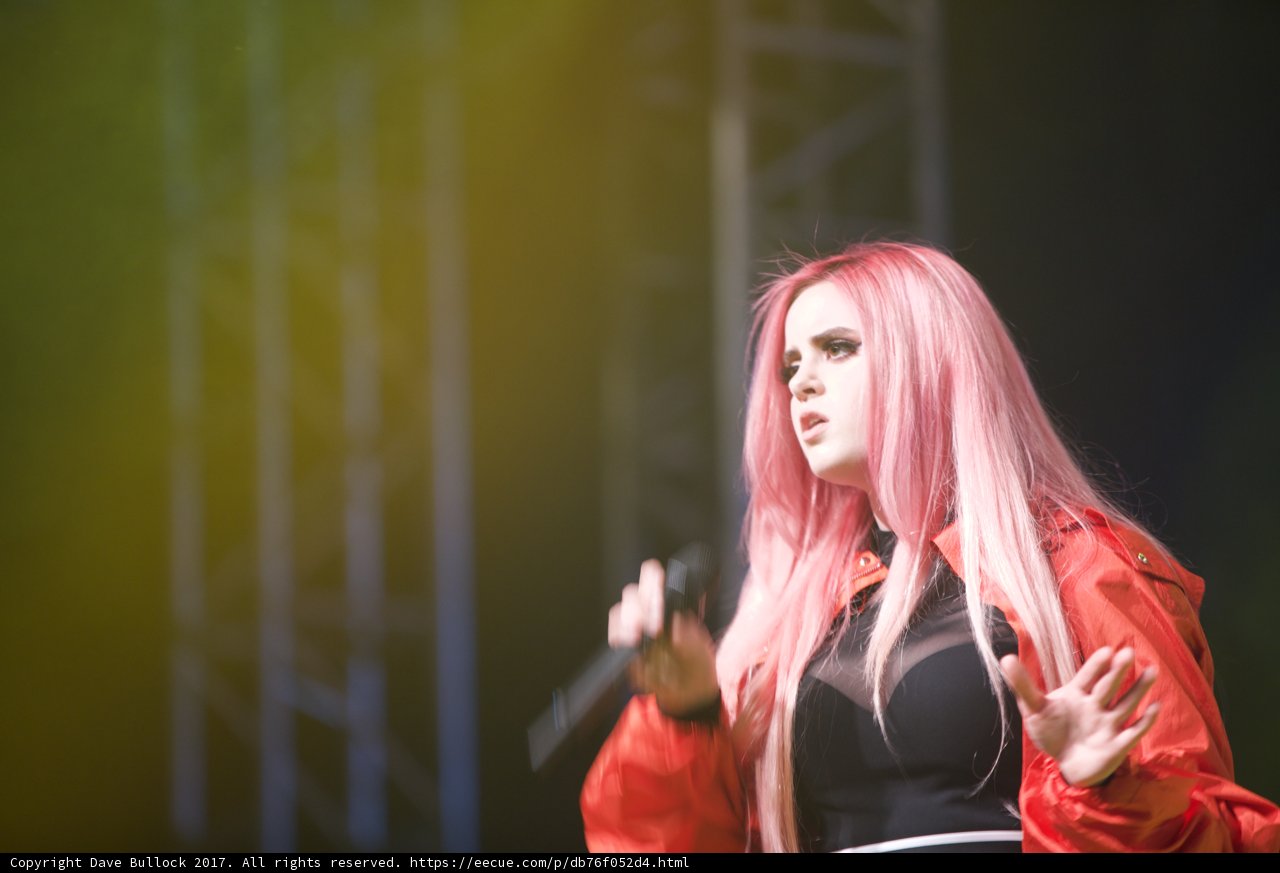 Lady in Pink