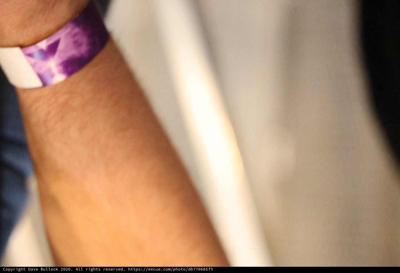Purple Festival Wristband at Wobbleland 2026