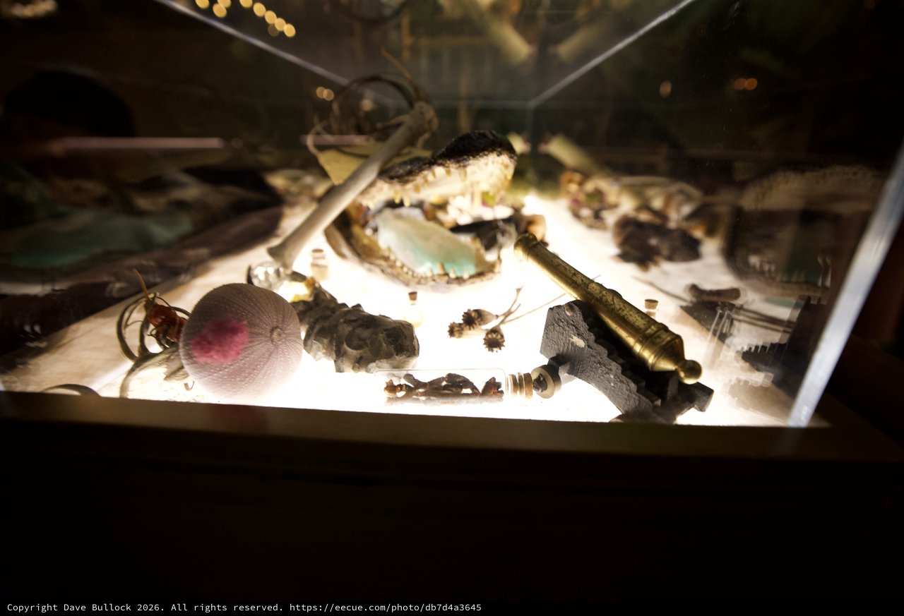 Illuminated Display of Ancient Artifacts and Natural Specimens
