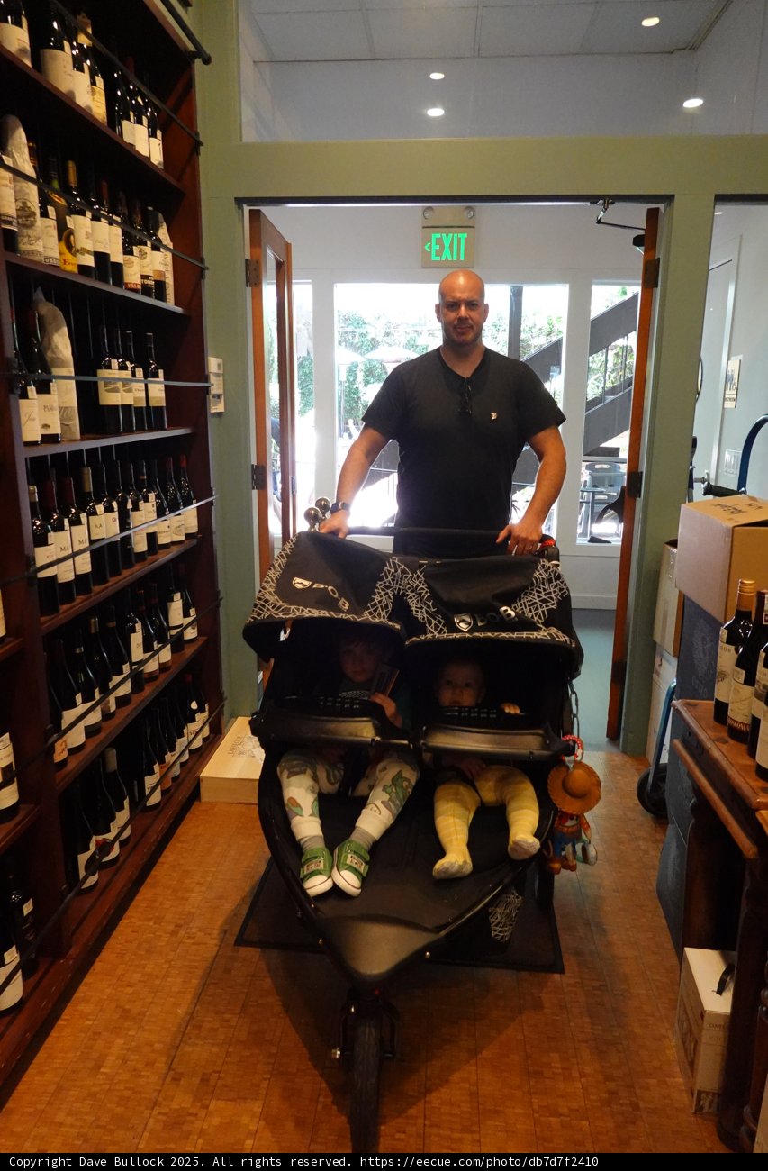 Stroll Through the Cellar