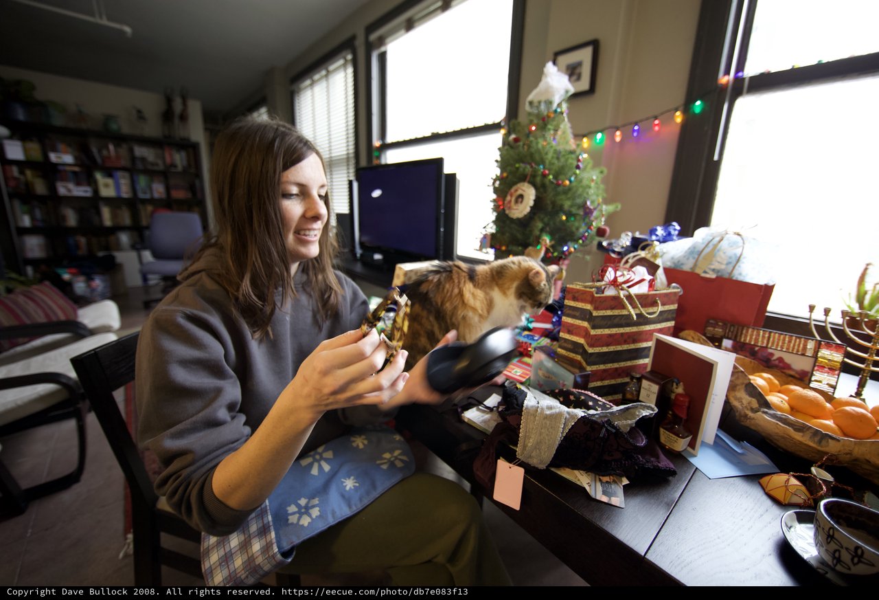 Christmas Morning Gift Opening with Curious Cat