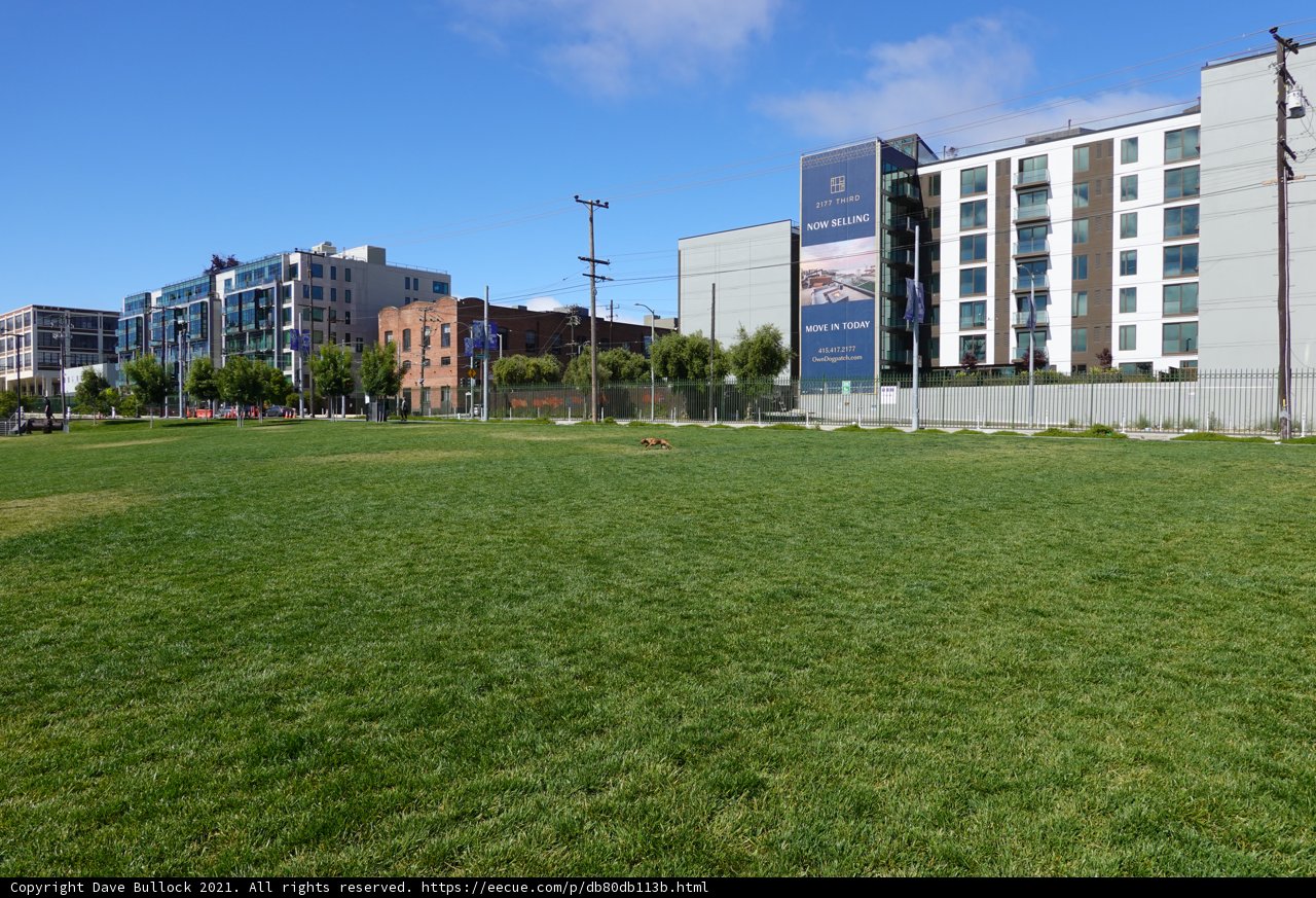 Grassy field by the city