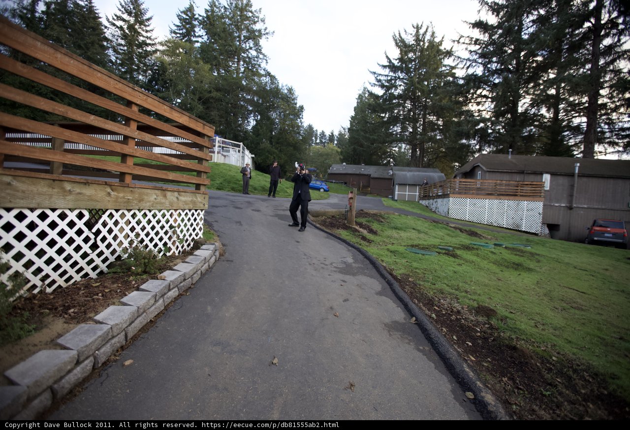Walking Down the Fir-Lined Driveway
