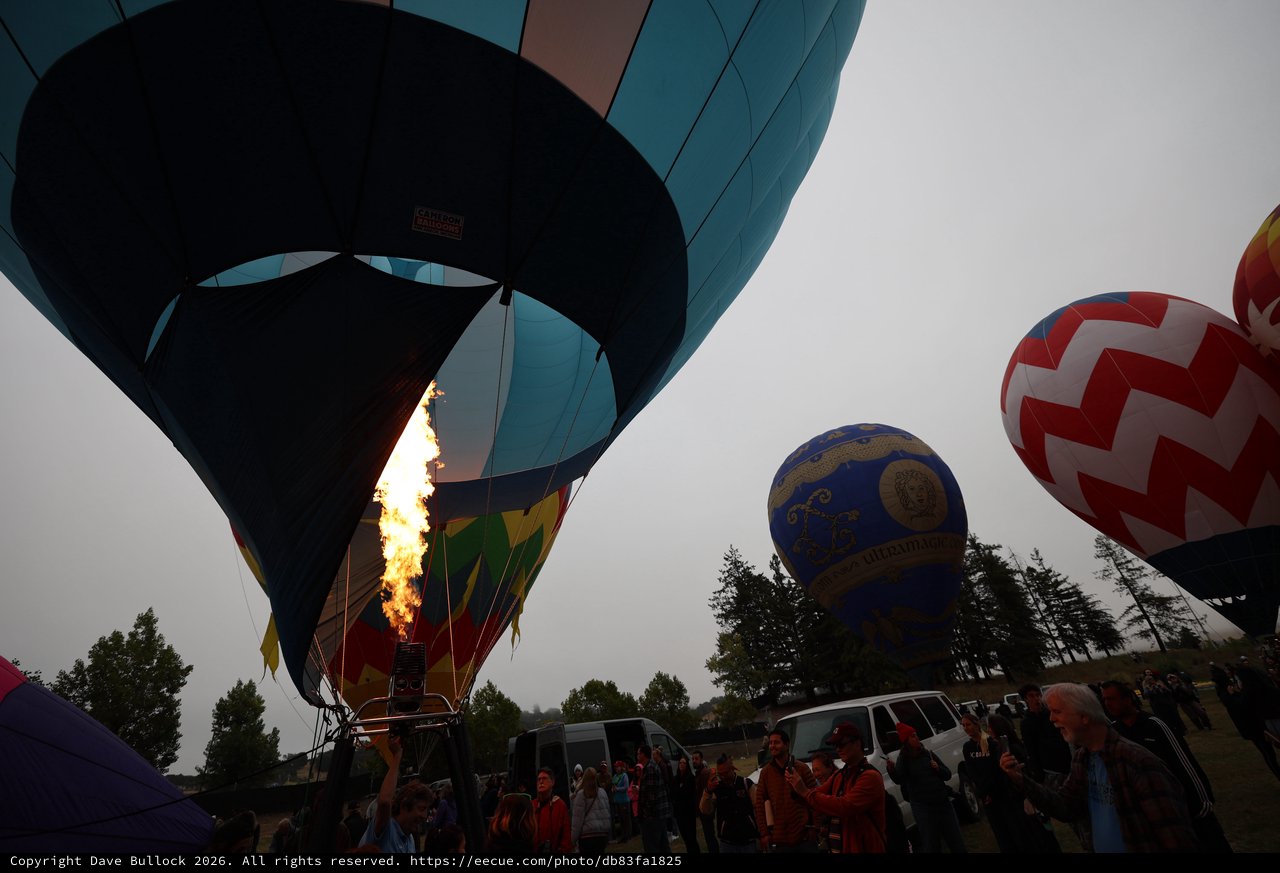 Fire and Sky: Hot Air Balloons at Dawn Launch