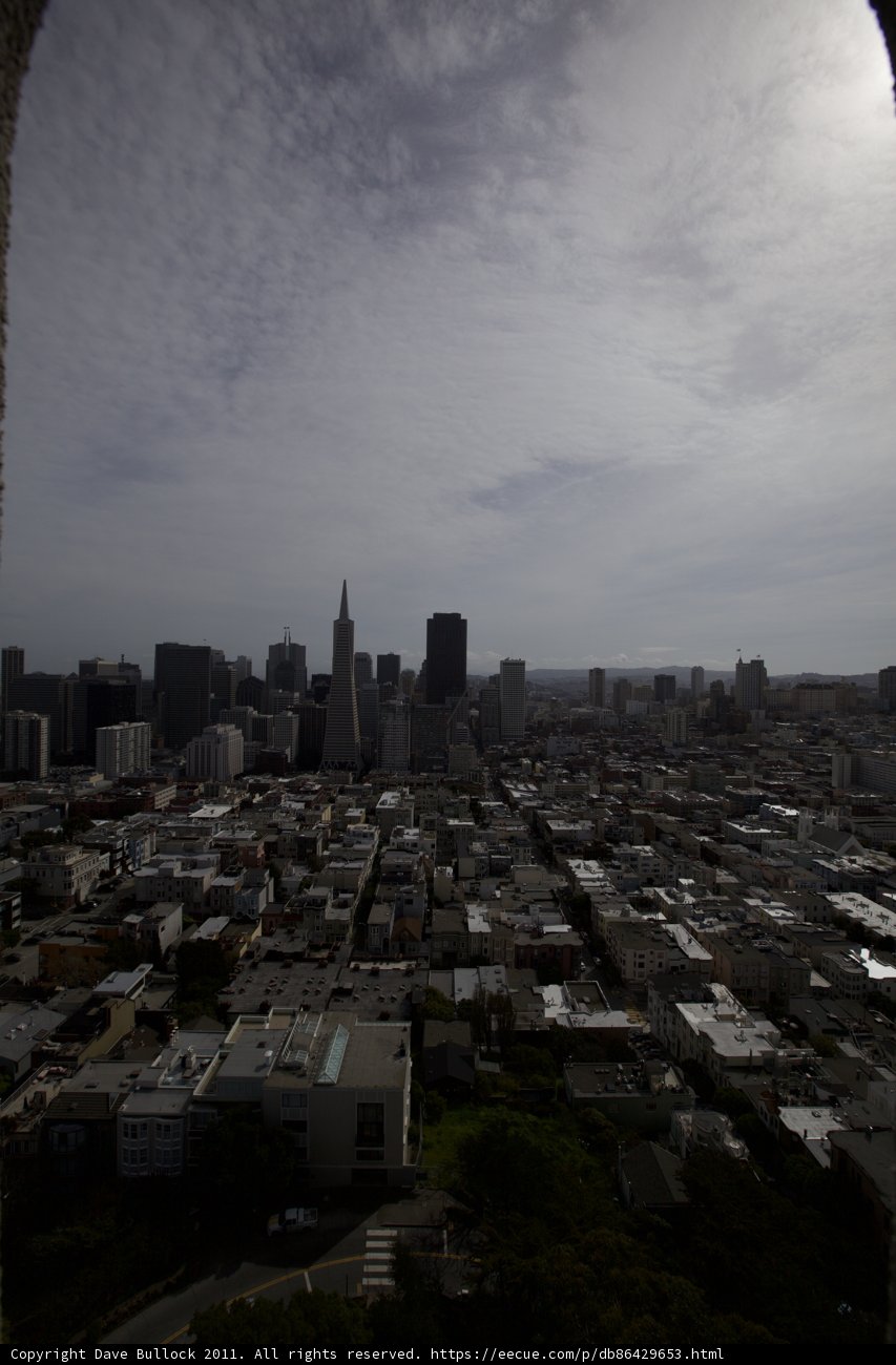 The Urban Metropolis