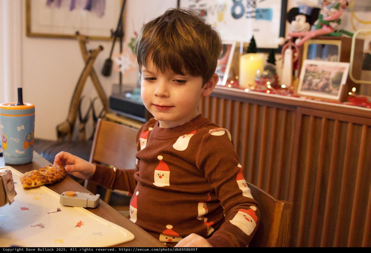 Young Boy Enjoying Christmas Dinner at Home