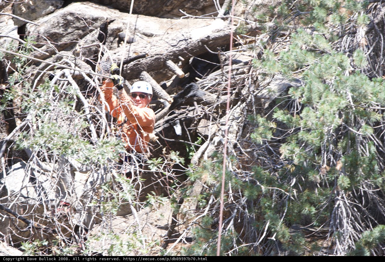 Climbing High in the Wilderness