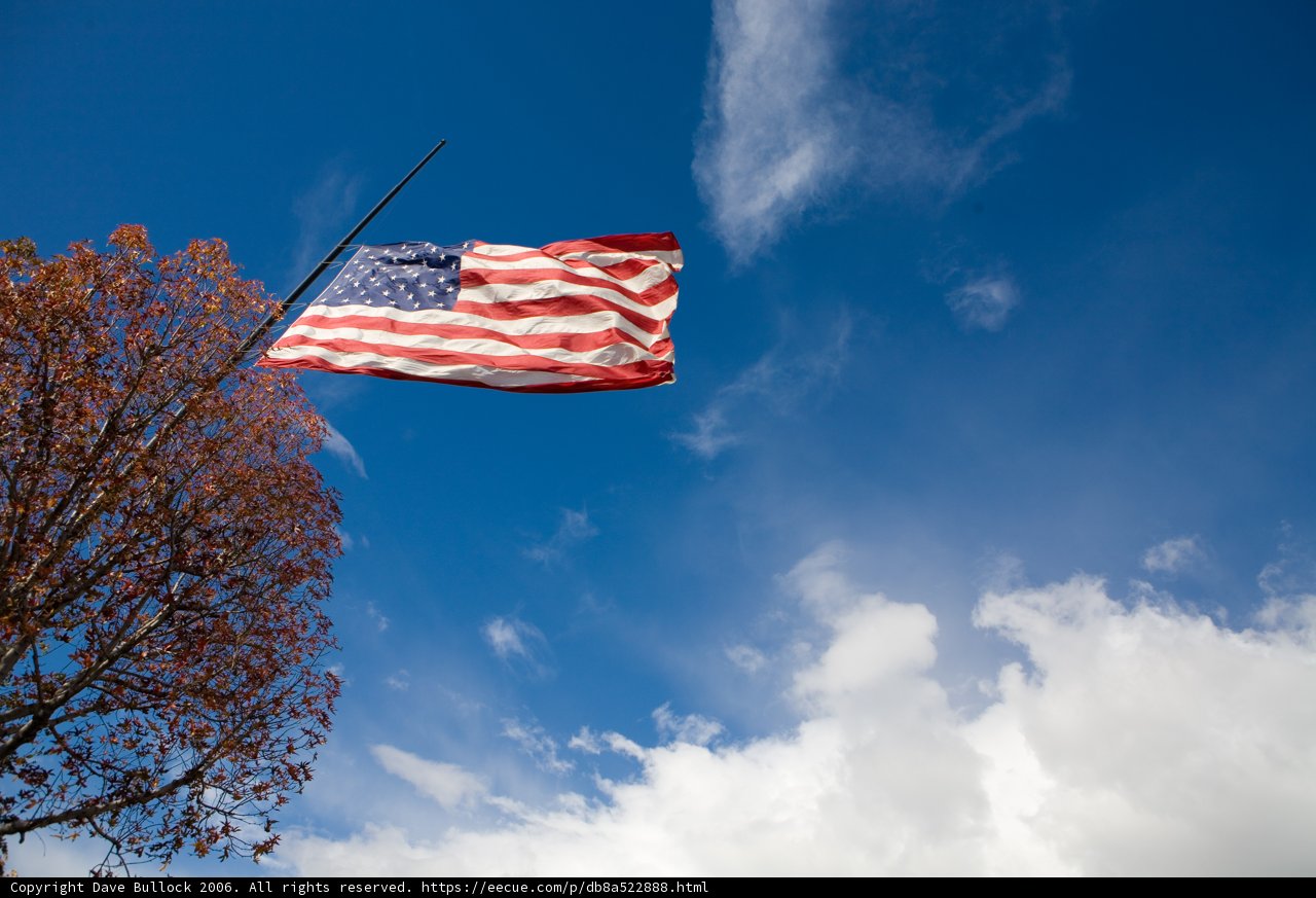 Patriotic Flag Flying High