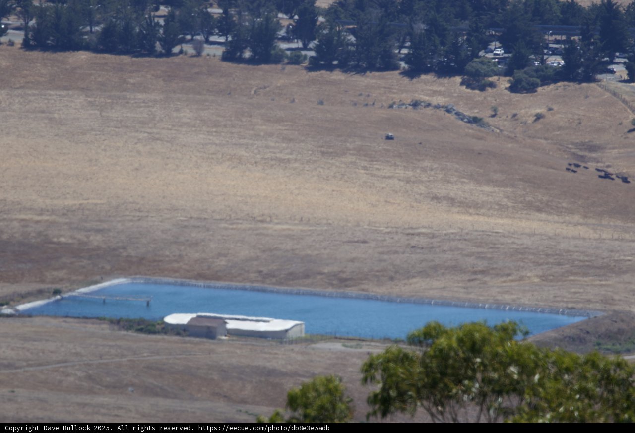 Tranquil Oasis at Hearst Castle