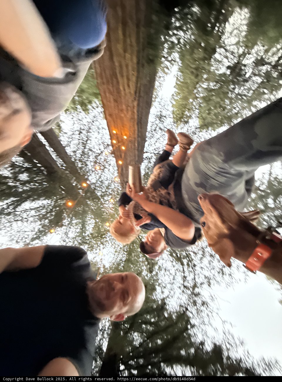 Woodland Gathering in Guerneville