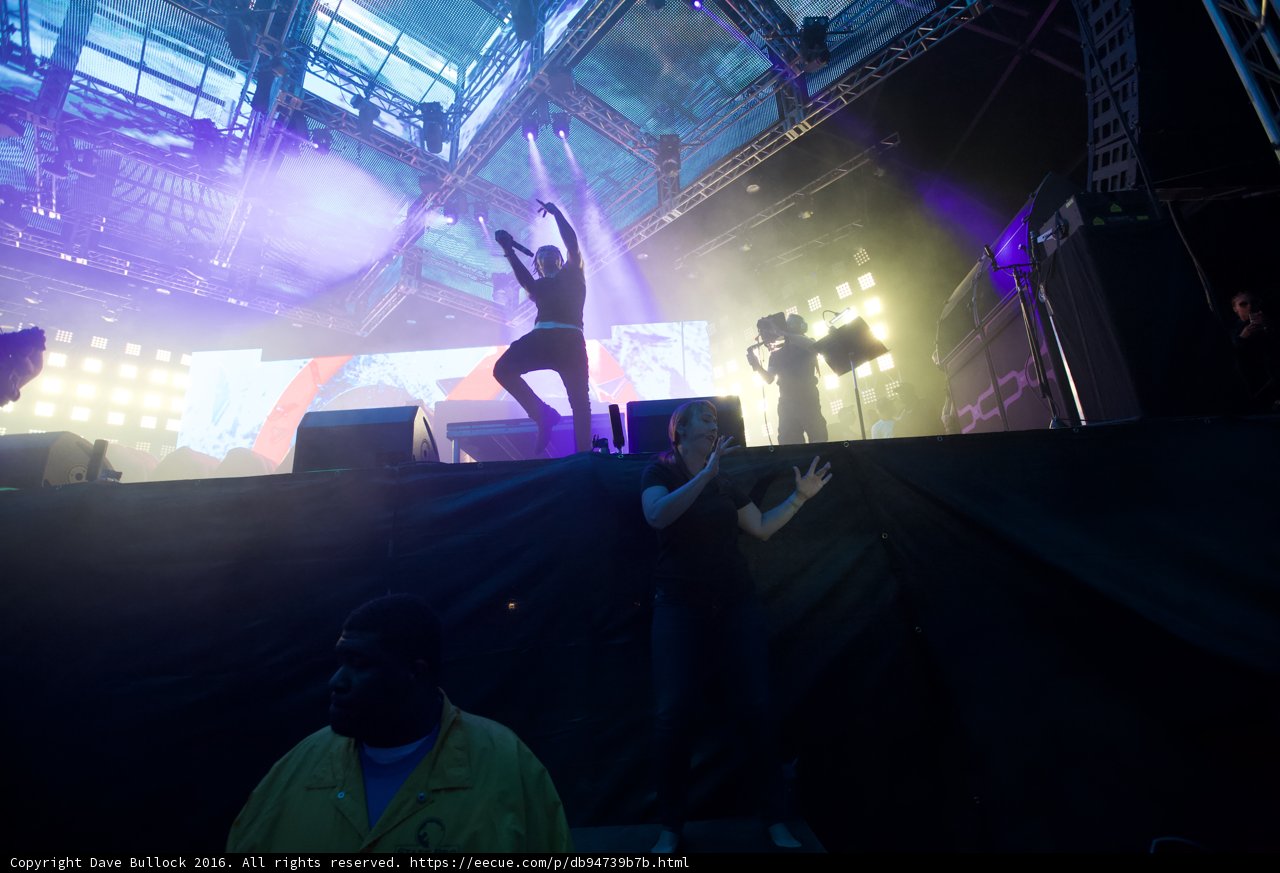 Rockin' the Crowd at Coachella