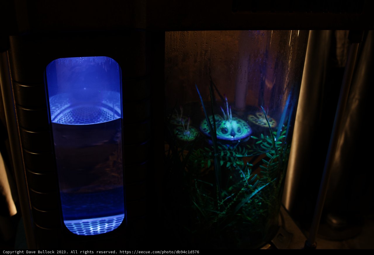 The Illuminated Aquarium