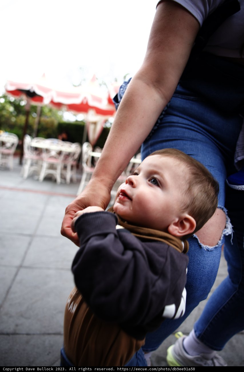 Cherished Moments at Disneyland