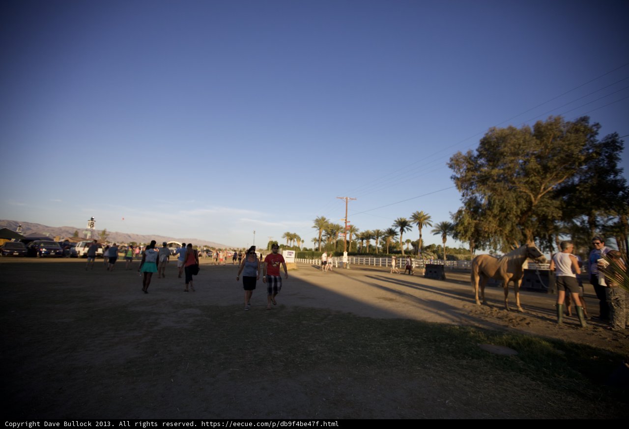 Walking with Horses