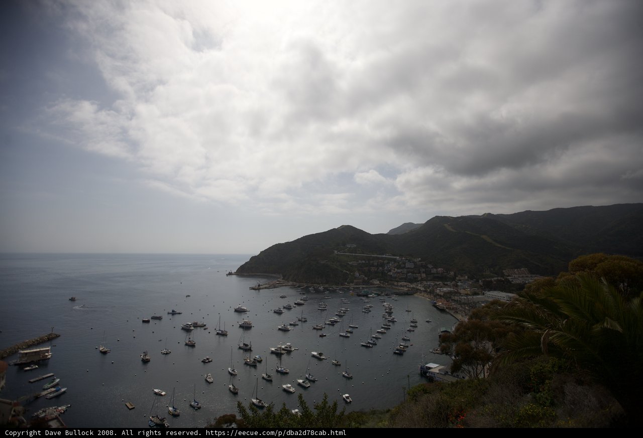 Boats at the Catalina Harbor