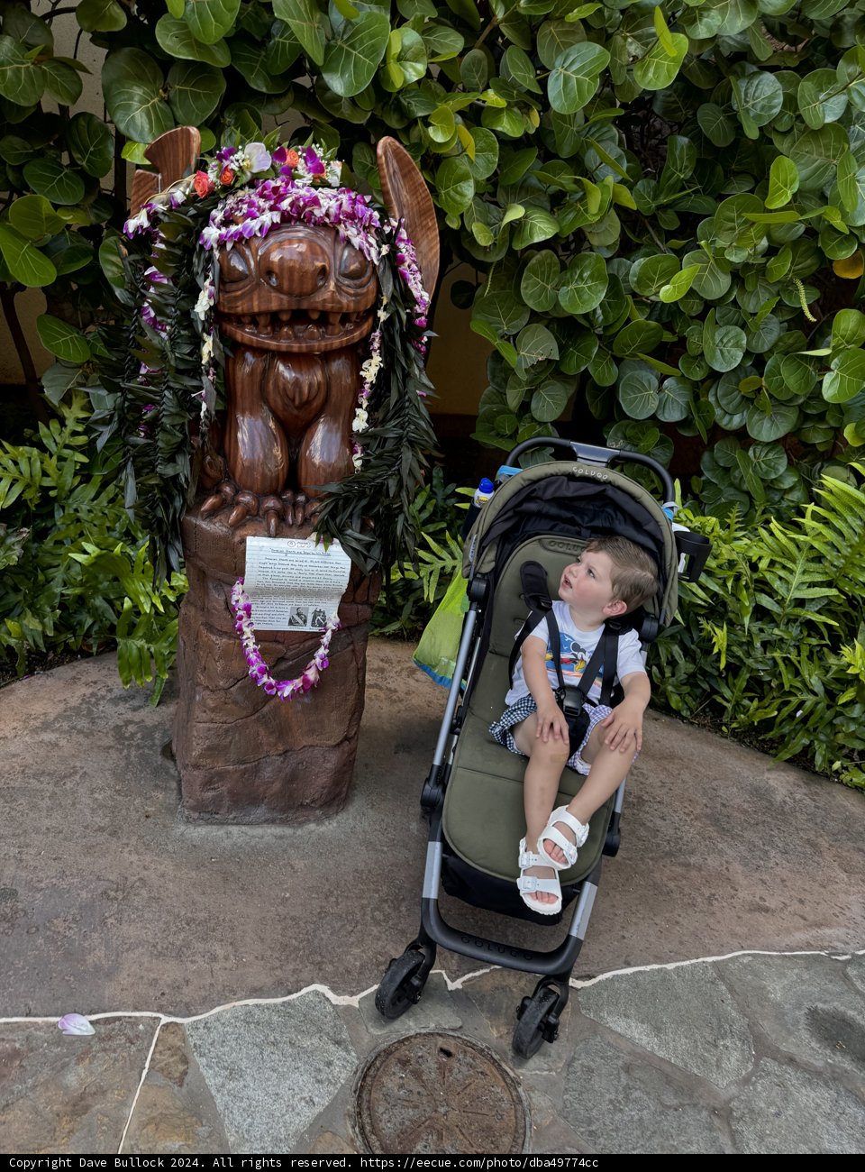 Discovering Aulani's Enchanted Pathways