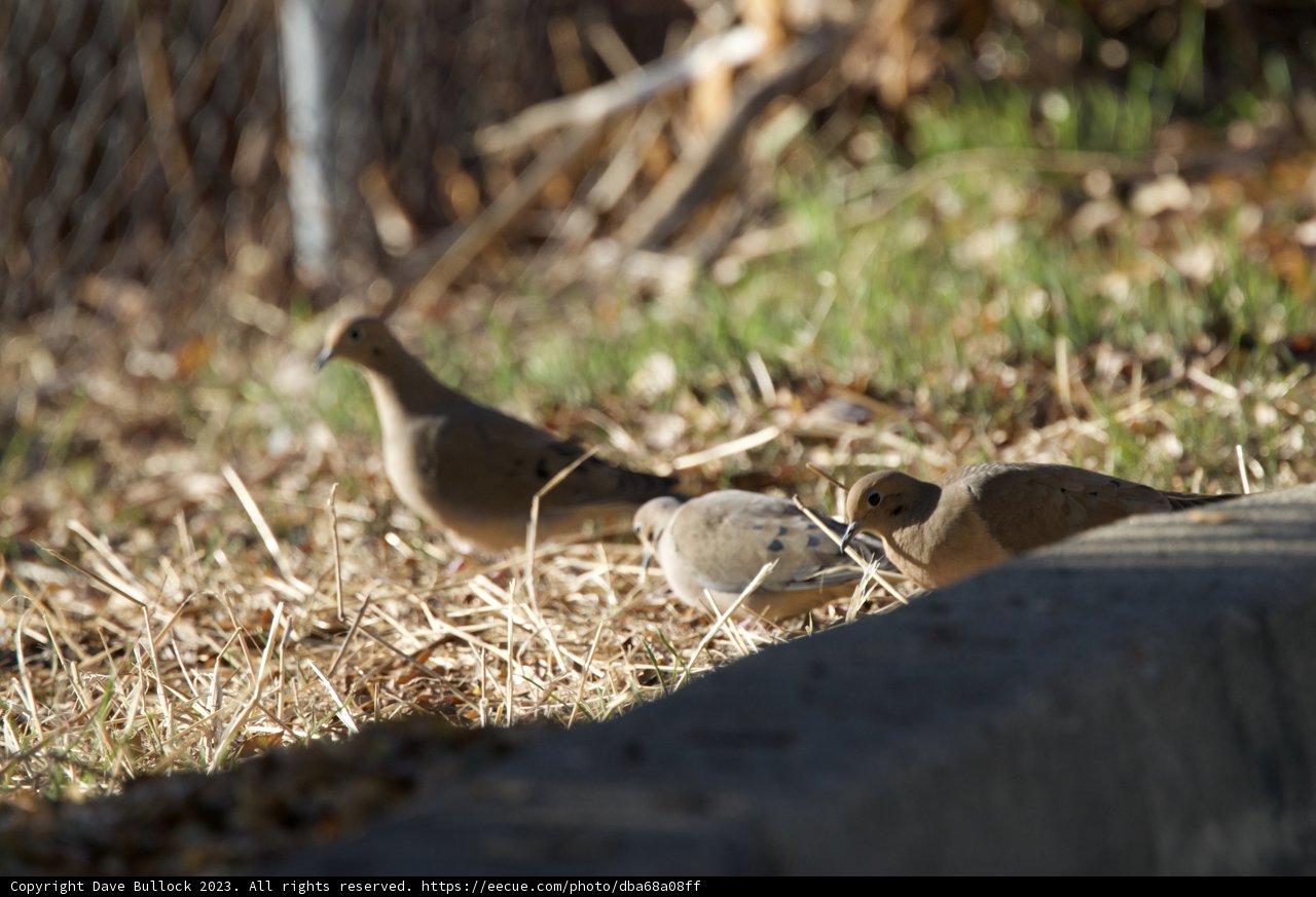 Serene Trio in El Sereno