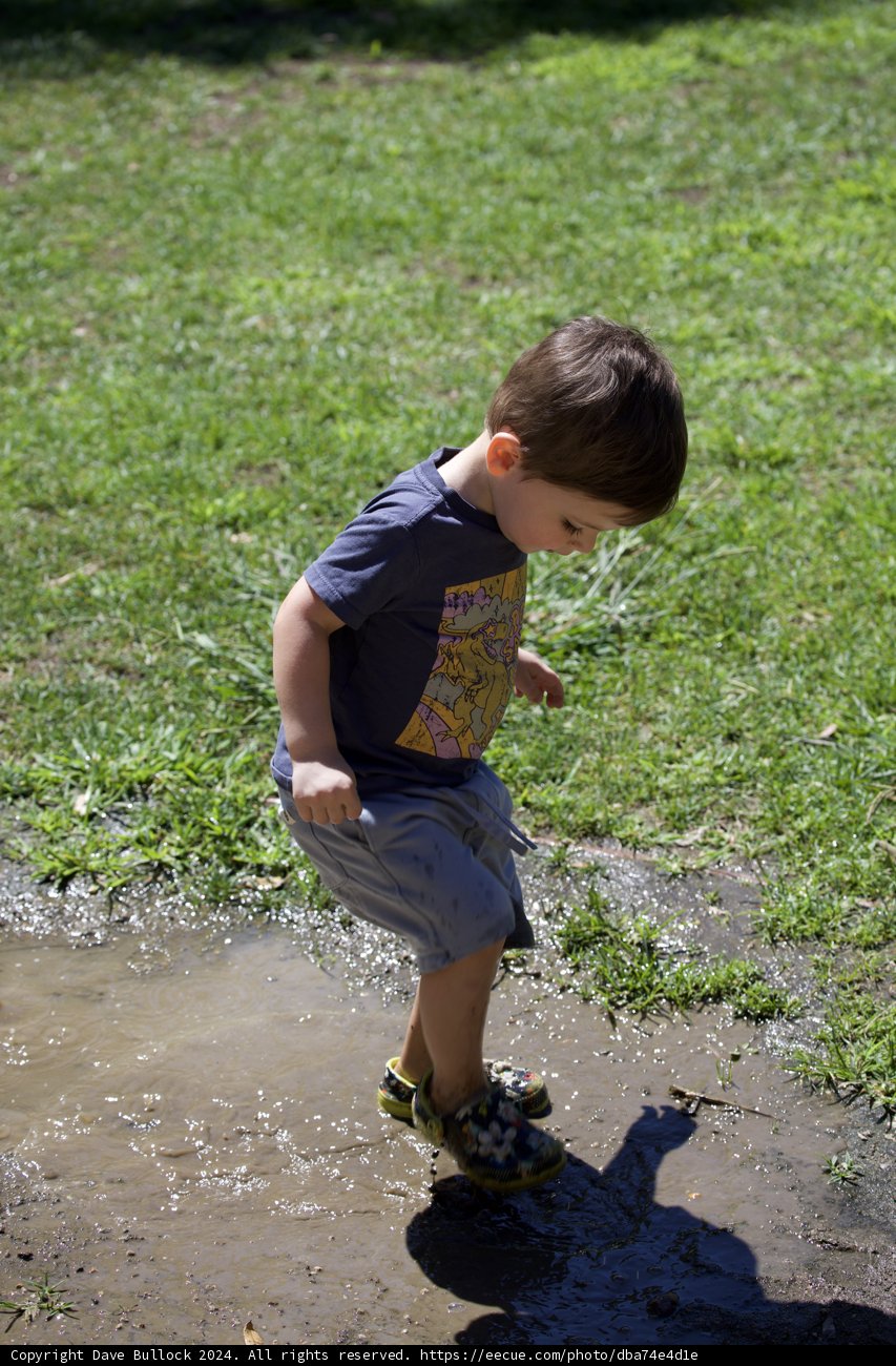 Splashing in the Walnut Creek Sun
