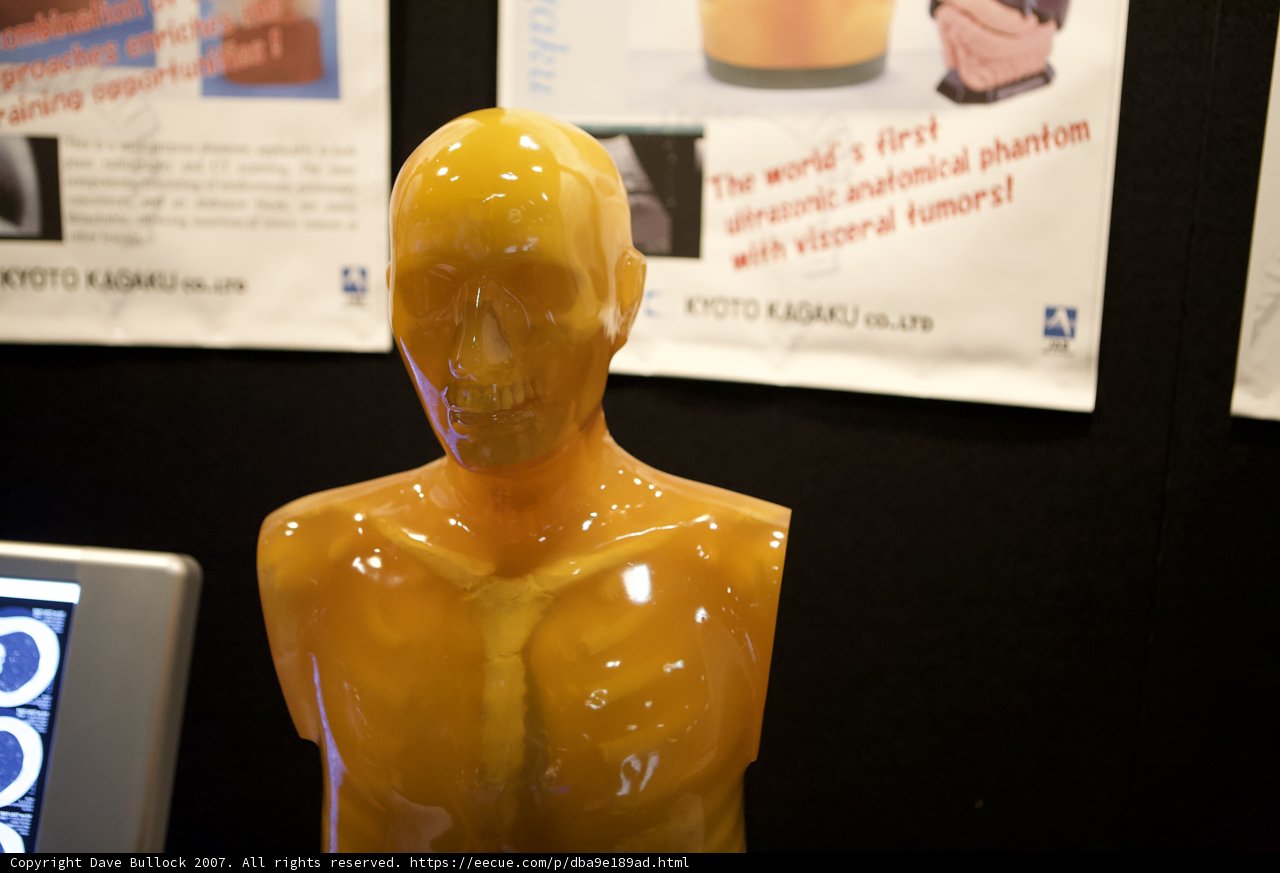 Mannequin Computing