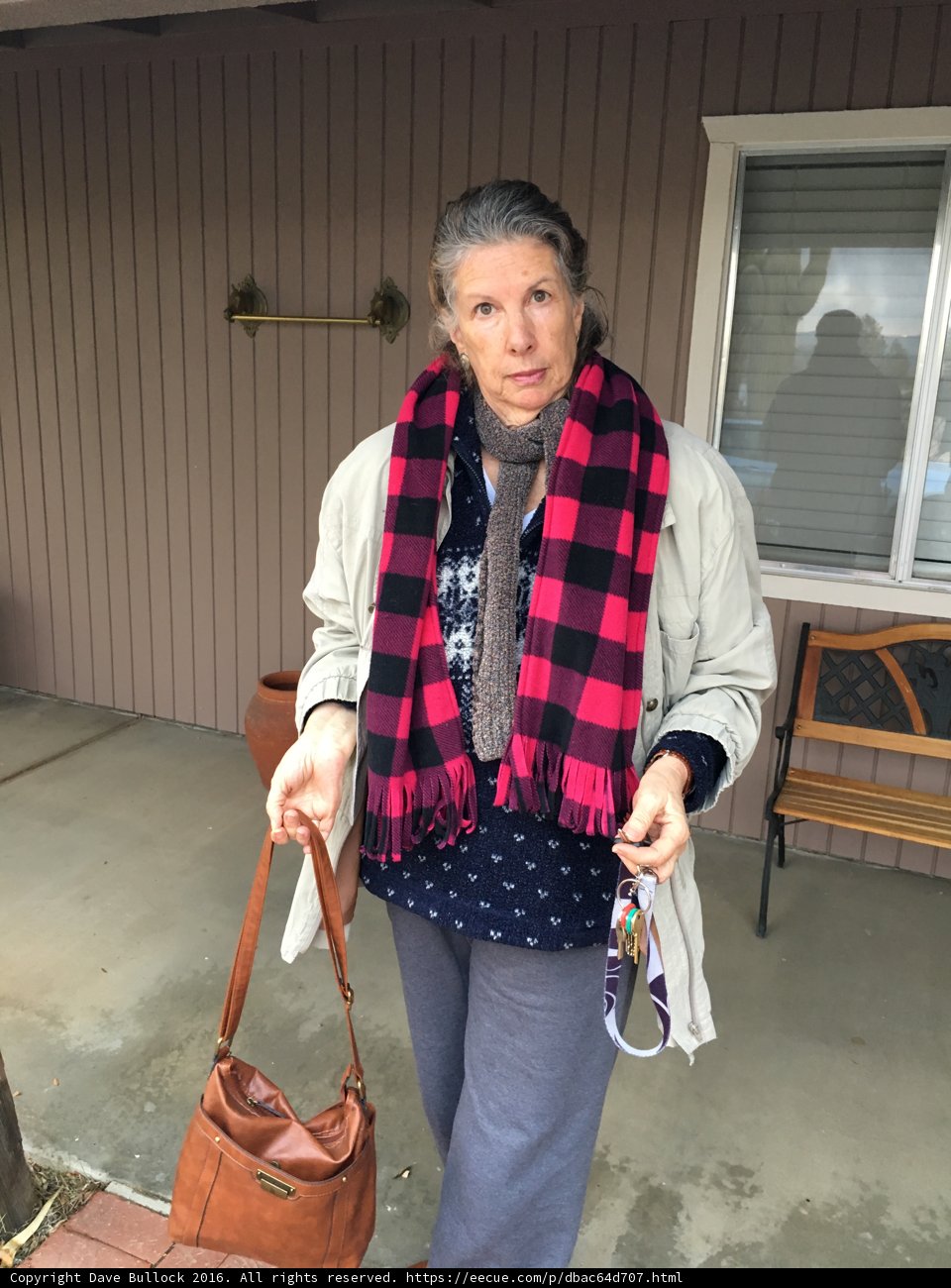 Plaid and Purses