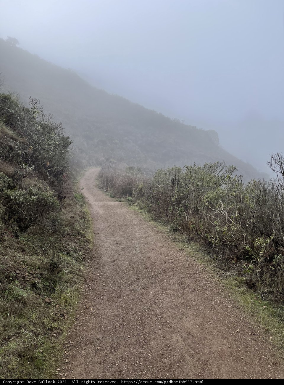 Path to the Misty Hillside