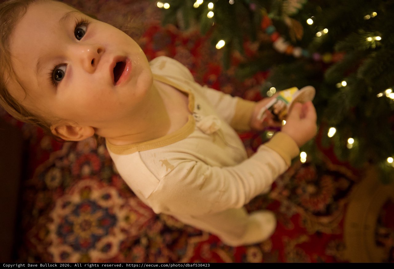 Baby's First Christmas by the Tree