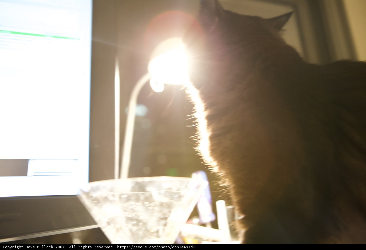Nighttime Computing Companion