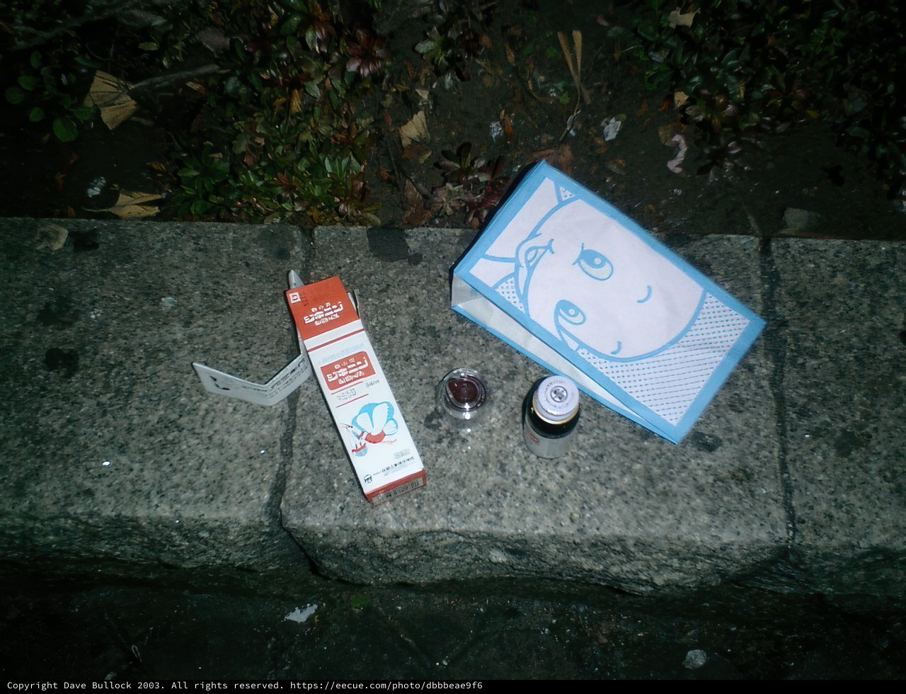 Daily Essentials in Tokyo