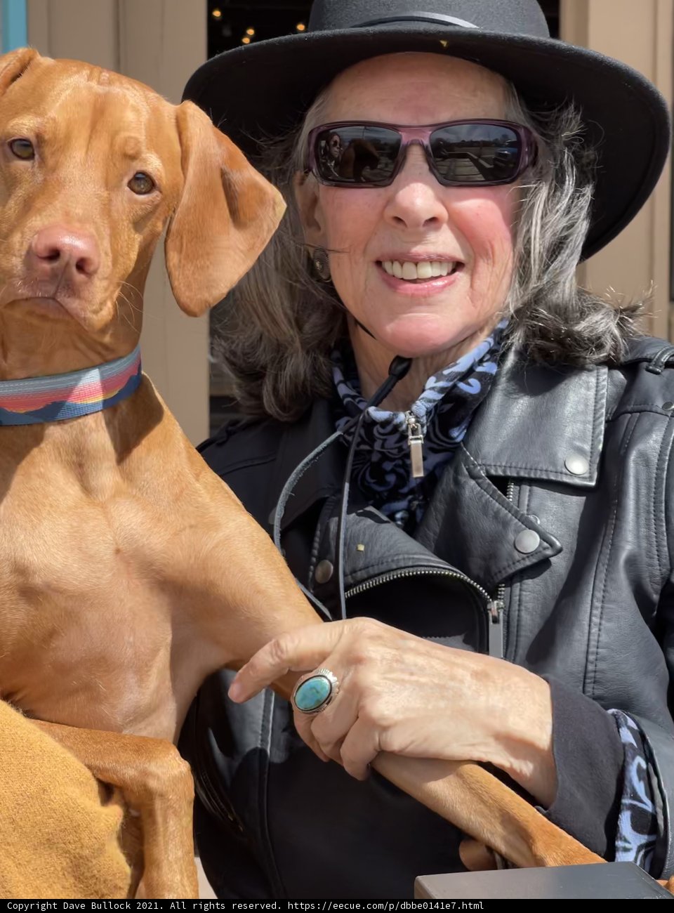 The Lady and Her Furry Companion