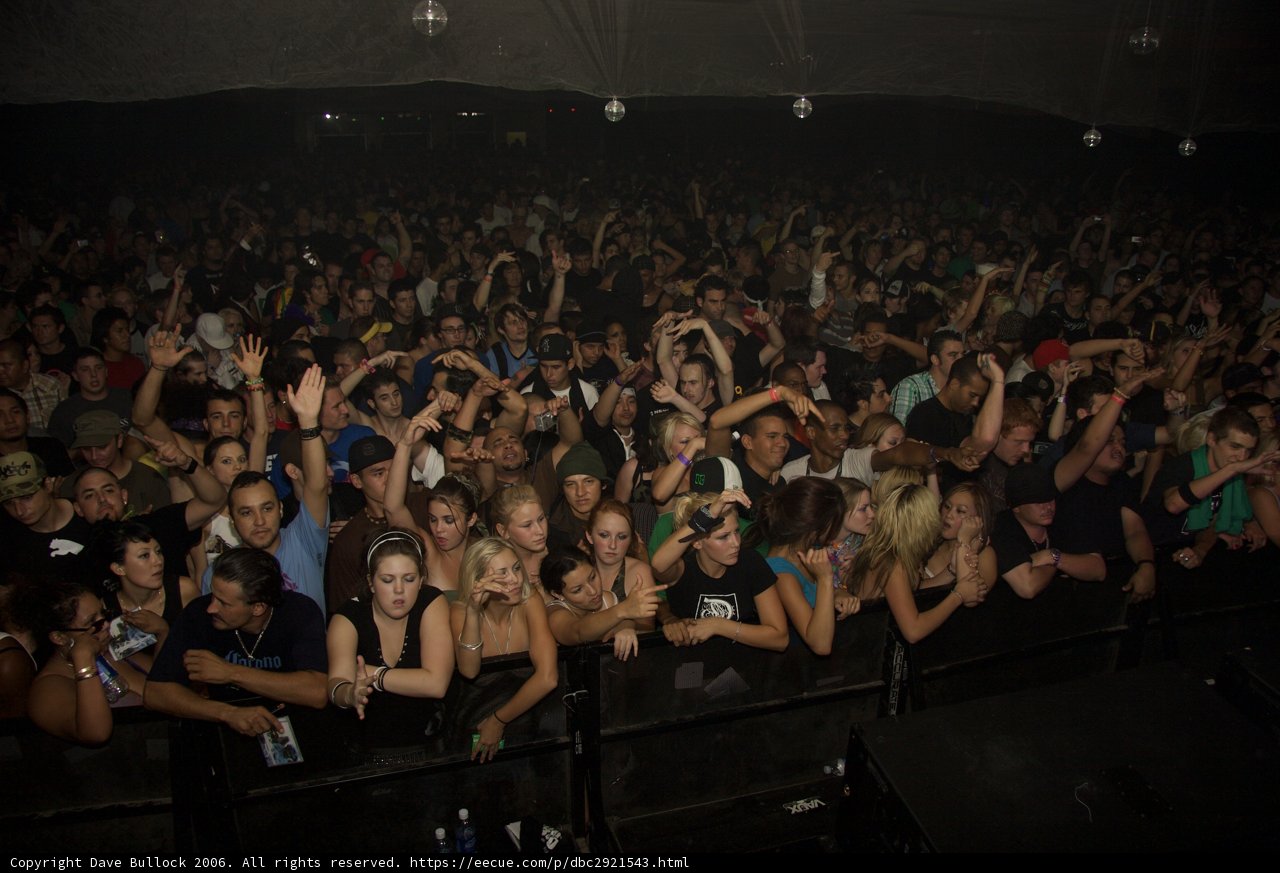 Raving with an Excited Crowd