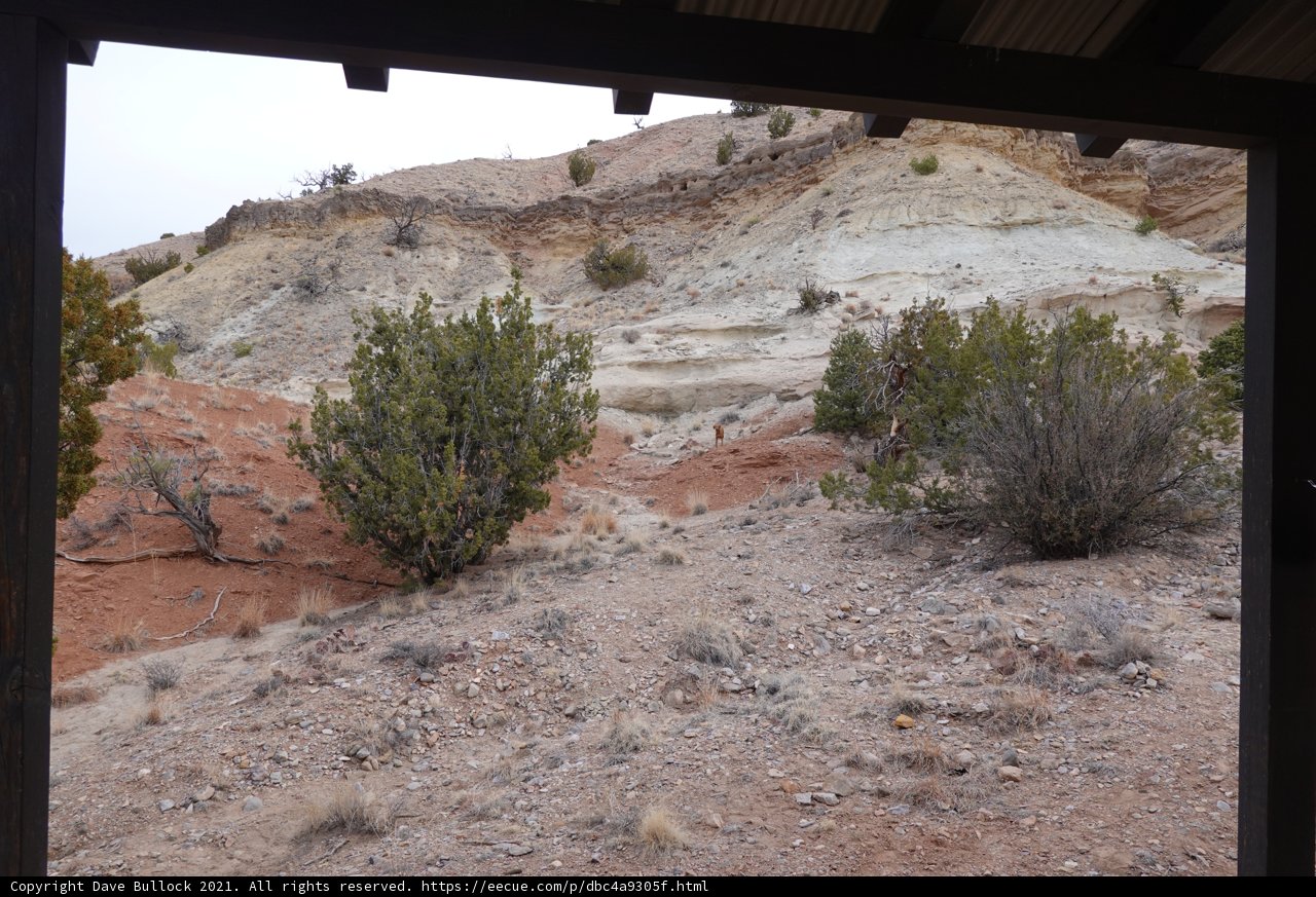 View of a Desert Landscape from Inside a Building