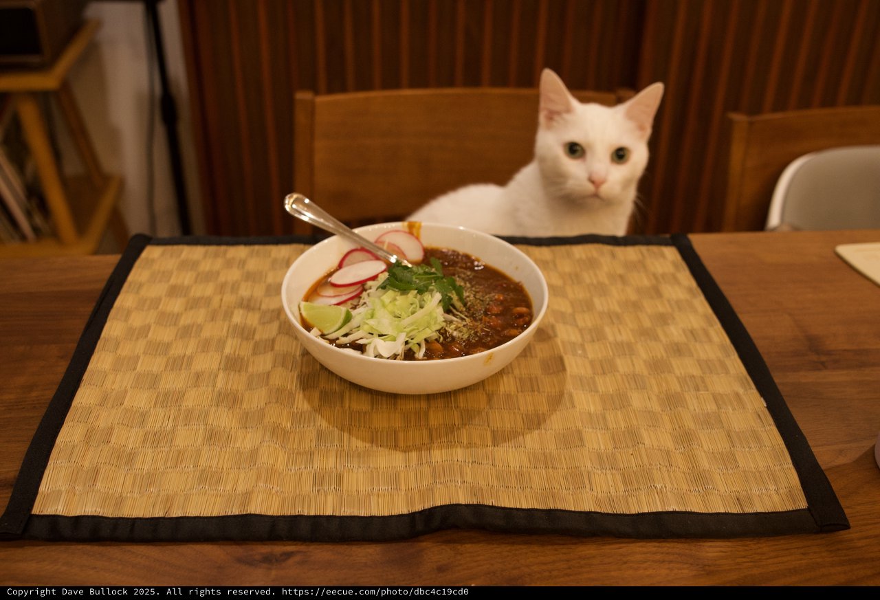 White Cat Eyeing a Bowl of Pozole Rojo