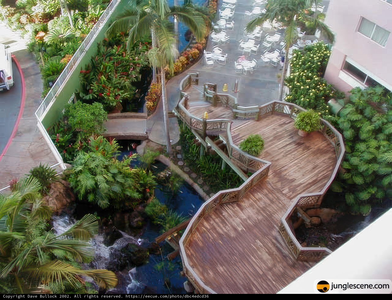 Serene Views of a Tropical Escape