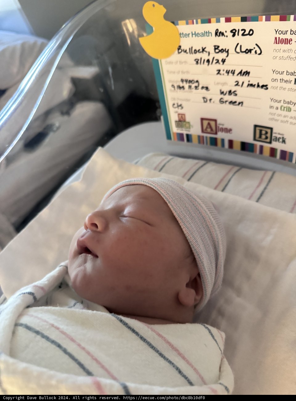 Welcome to the World, Leland