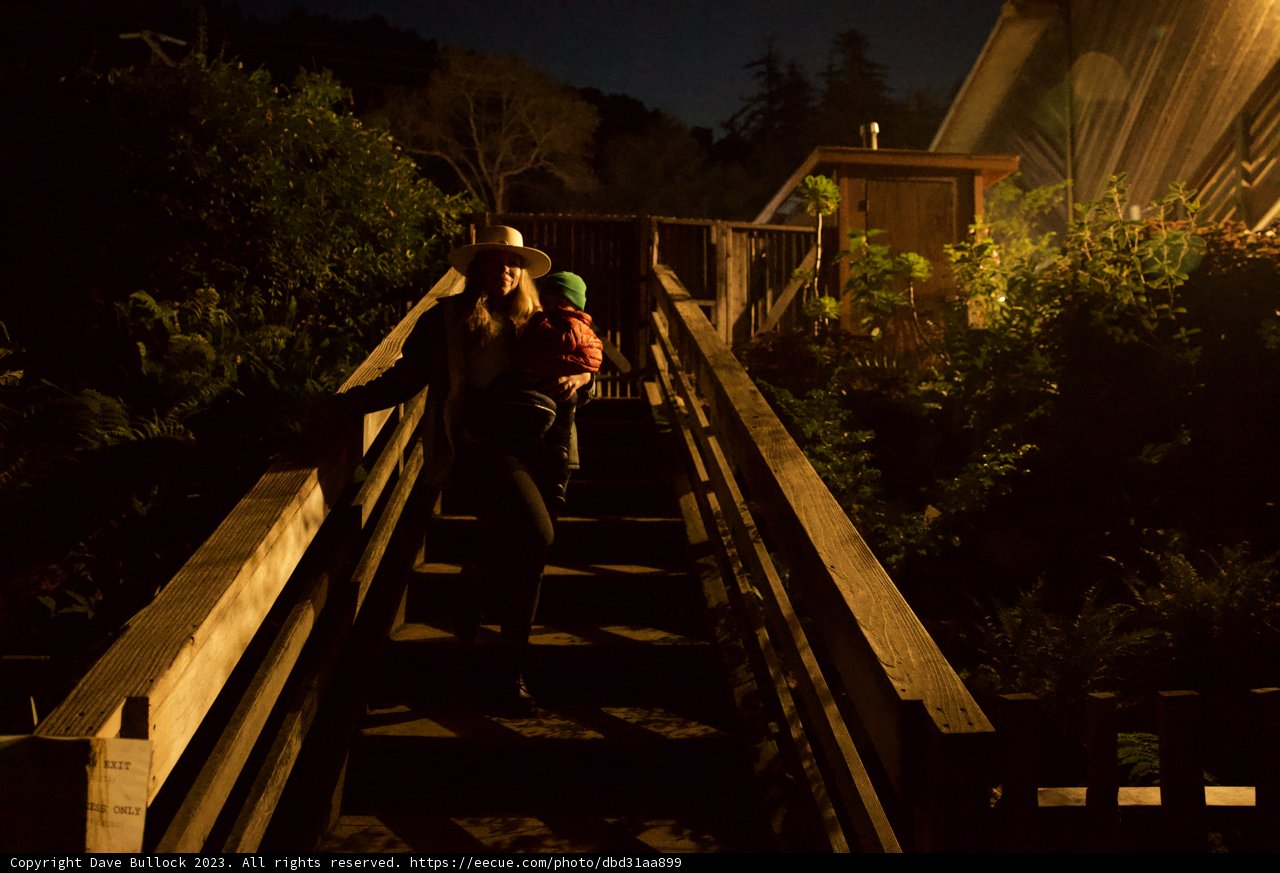 Nighttime Stroll Down Wooden Steps