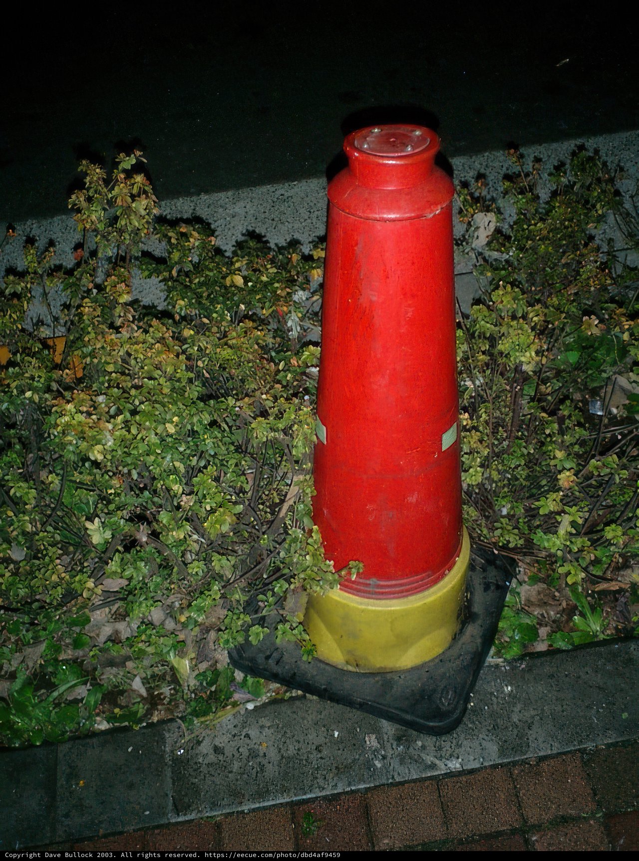 Lone Cone