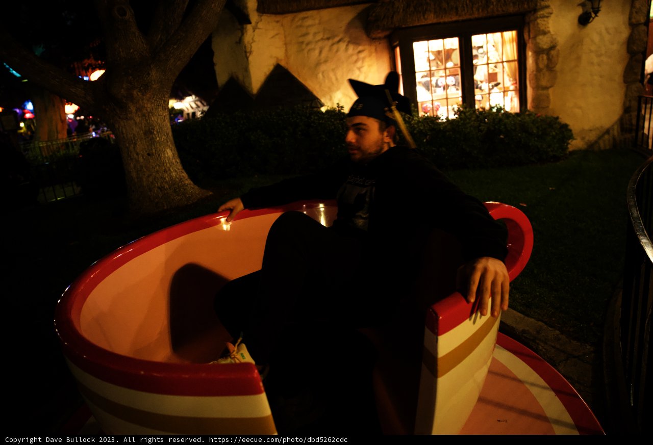 A Whimsical Night at Disneyland