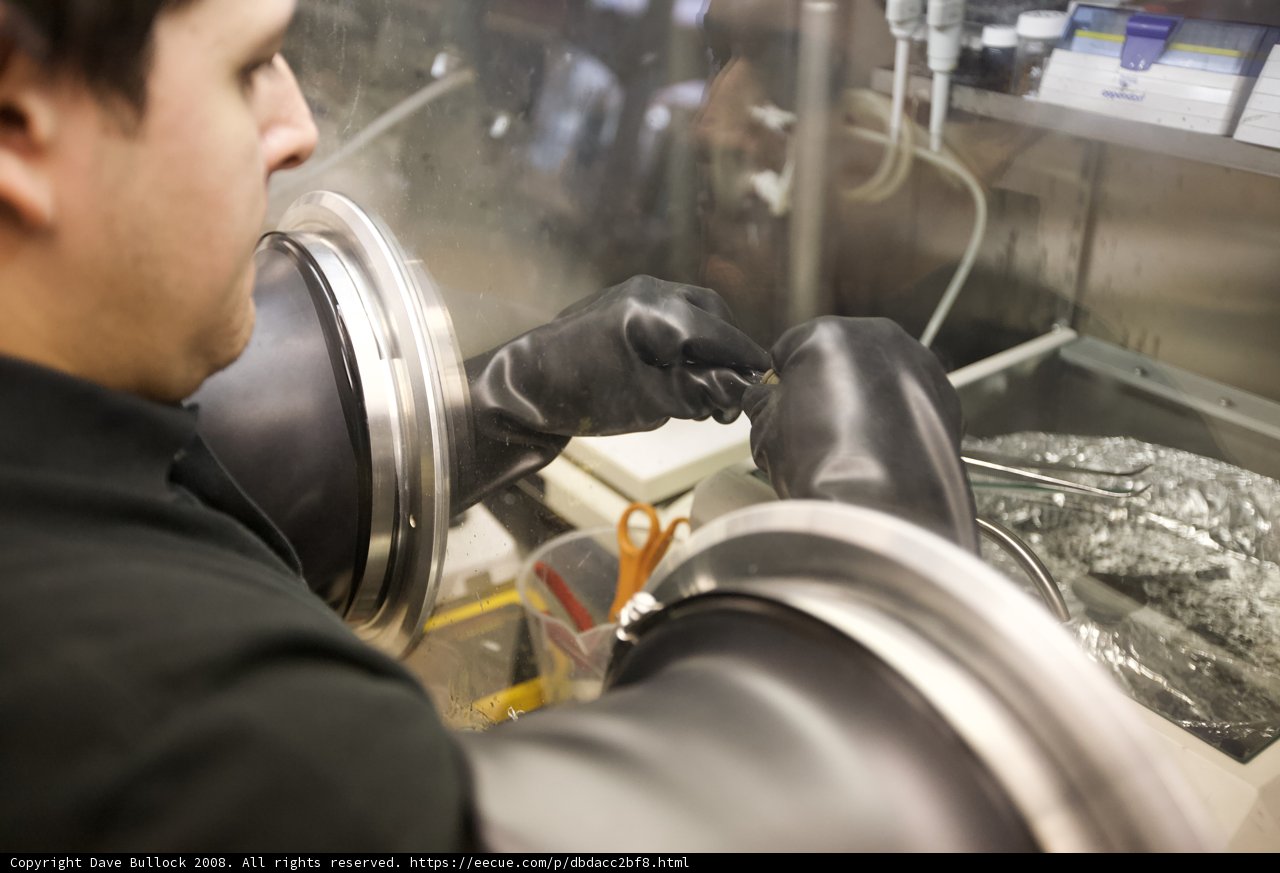 The Manufacturing Man