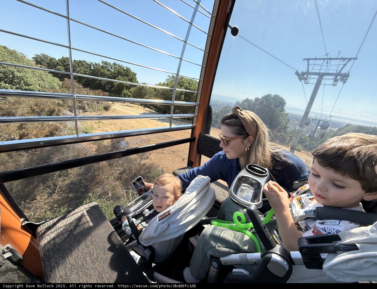 A Day Out at Oakland Zoo