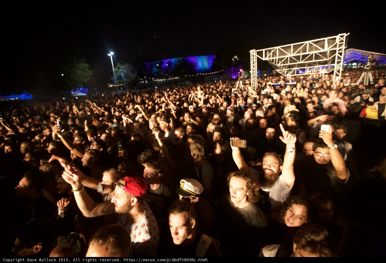 Smiling Festival Crowd
